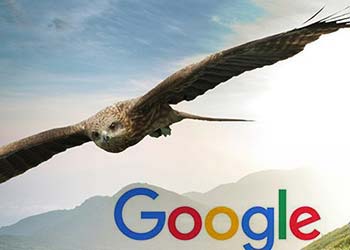 Google Optimizasyonu Google Optimizasyonu