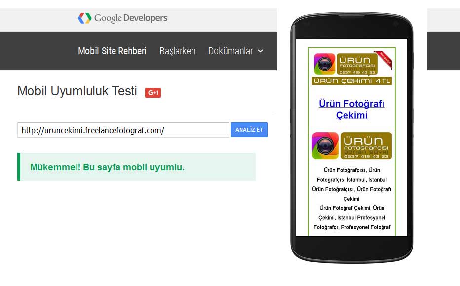 Google Mobil Uyumluluk Testi