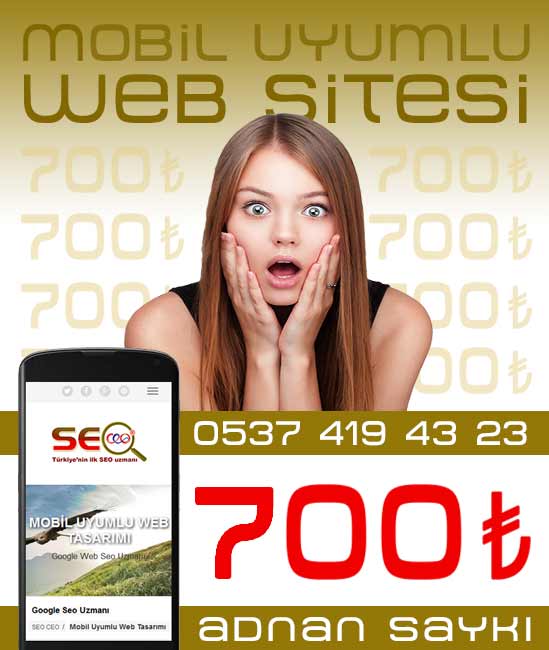 Responsive Web Tasarımı, 700 TL
