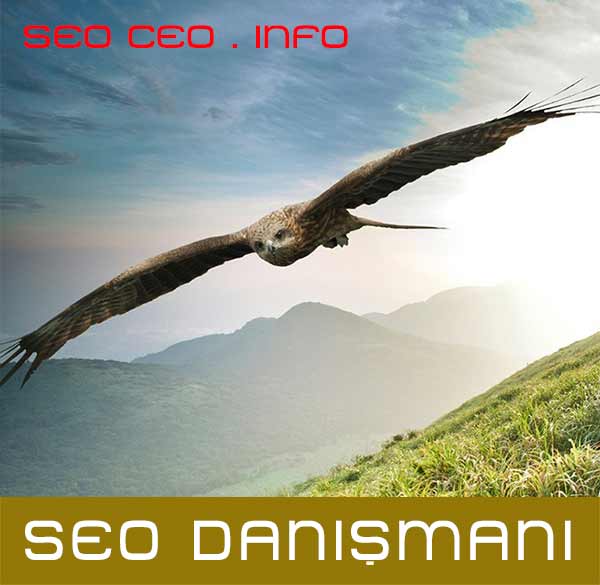 SEO Danışmanlığı SEO Danışmanlığı